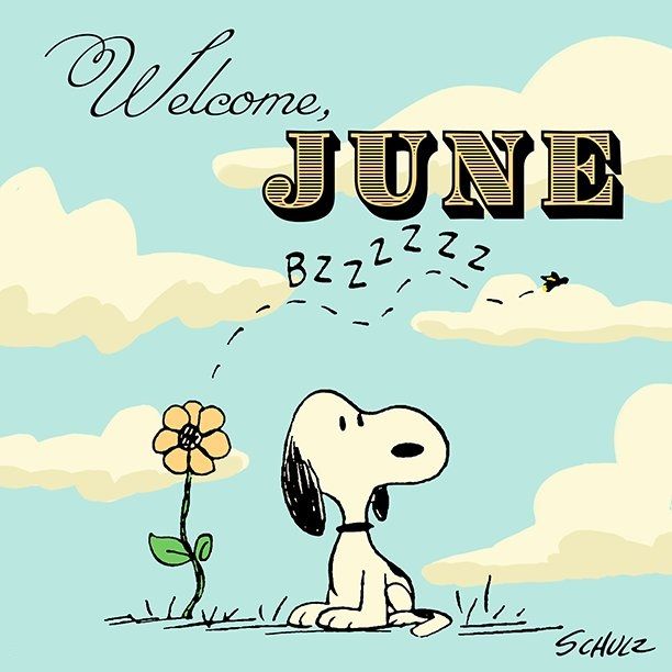 Happy June.jpg