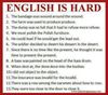 FB_IMG_1554646514285.jpg