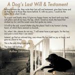 FB_IMG_1553801503780.jpg