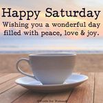 FB_IMG_1686400630042.jpg