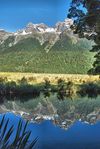 DSC_0016-1.jpg