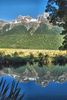 DSC_0016-1.jpg