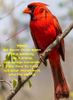 FB_IMG_1541523877761.jpg