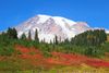 DSC_0185.JPG