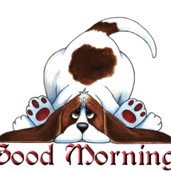 good-morning-tail-wagging.gif