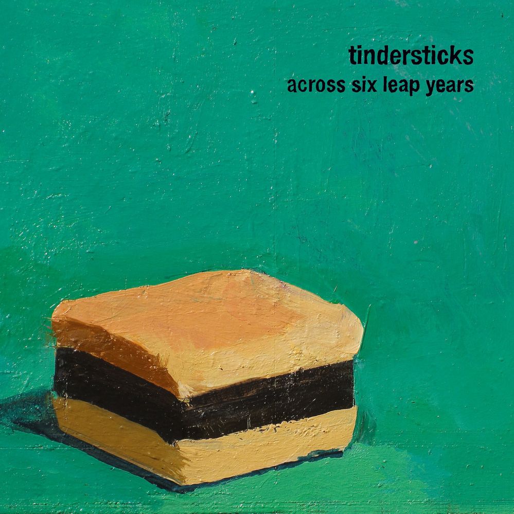 tindersticks - what are you fighting for.jpg