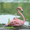 FB_IMG_1686847118569.jpg