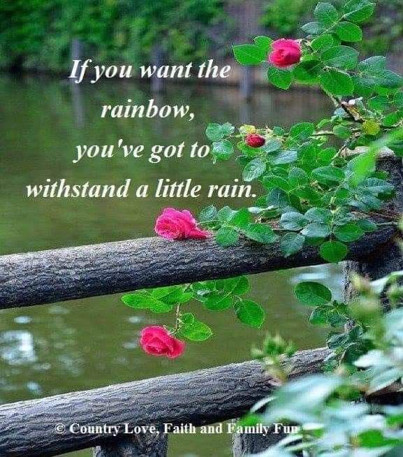 FB_IMG_1687718472817.jpg