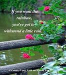 FB_IMG_1687718472817.jpg