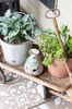 Front-Porch-Makeover-2022-12.jpg