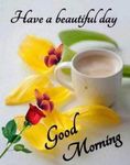 FB_IMG_1689602480347.jpg