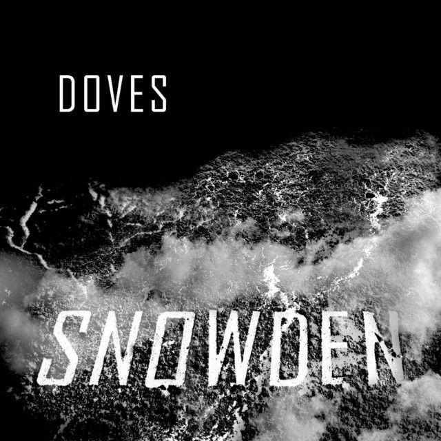 Doves Almost Forgot Myself (Snowden).jpg