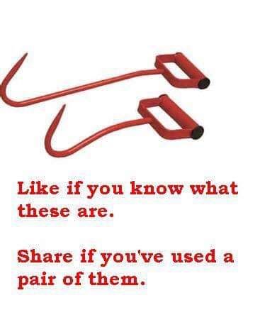 FB_IMG_1689974501612.jpg