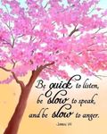 FB_IMG_1690242304560.jpg