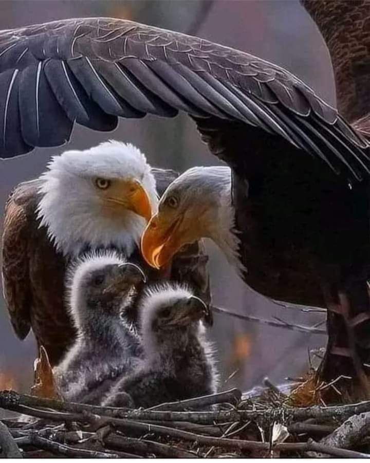 FB_IMG_1691097245772.jpg