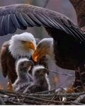 FB_IMG_1691097245772.jpg