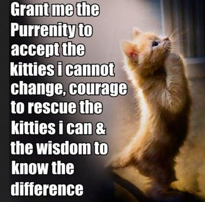 God, grant me the serenity.JPG