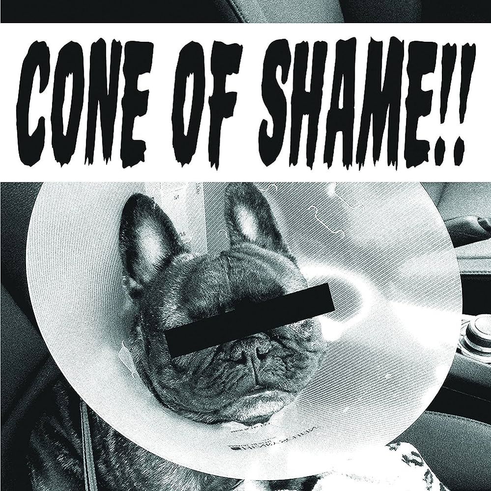 FNM Cone of Shame.jpeg
