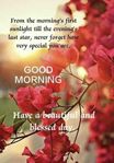 FB_IMG_1690682000188.jpg