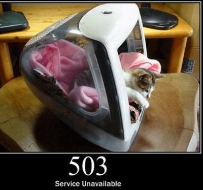 503 error KITTEH edition
