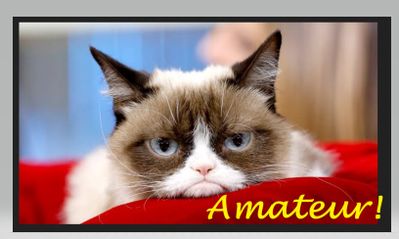 Grumpy Cat says ....Amateur! I’m the PRO at being Grumpy! LOL!