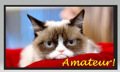 Grumpy Cat says ....Amateur! I’m the PRO at being Grumpy! LOL!