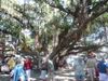 FB_IMG_1627745949746.jpg