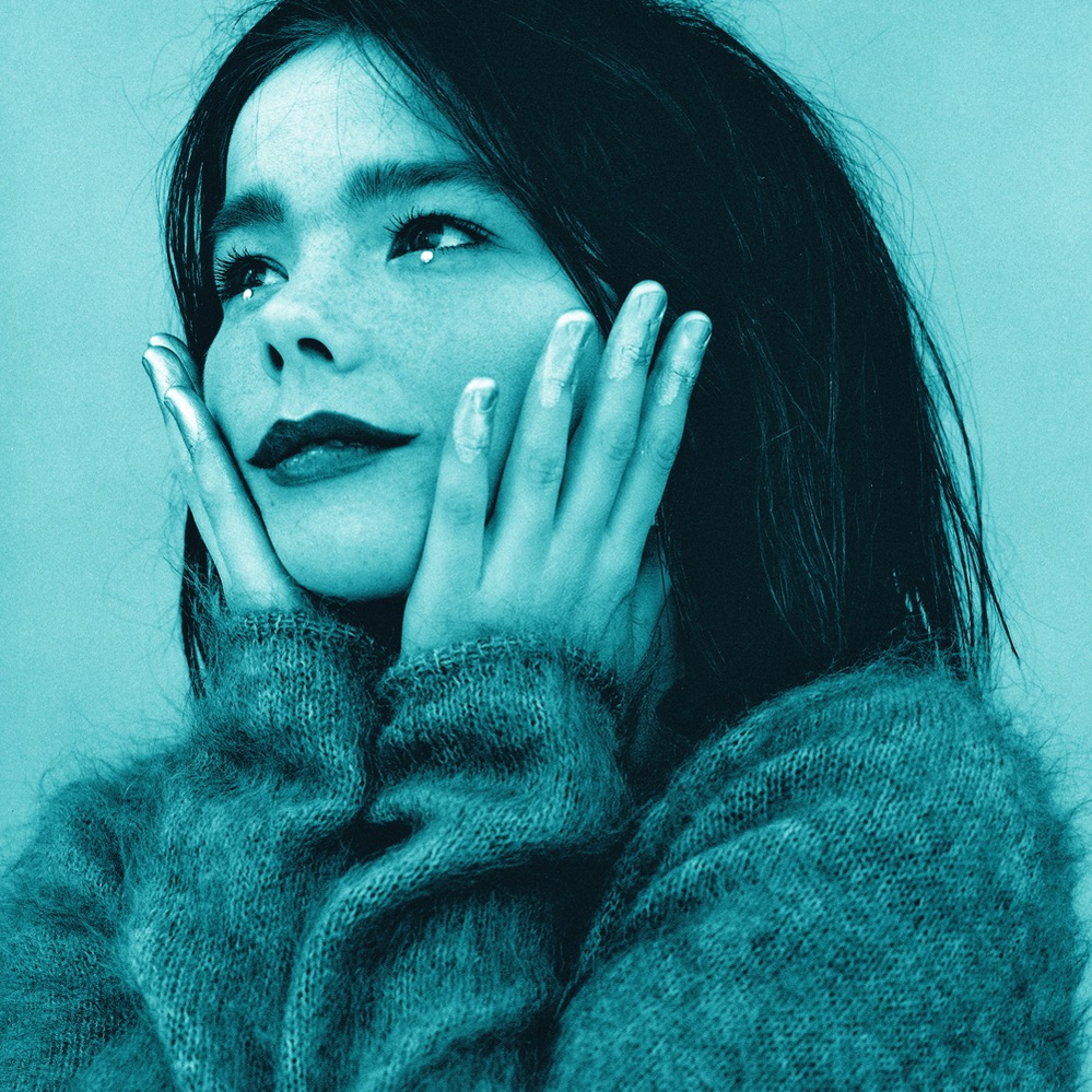 Björk - I Remember You.png