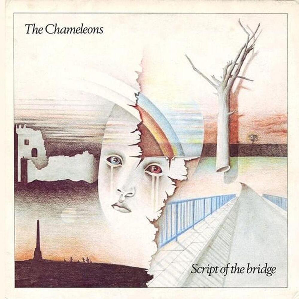 The Chameleons - Here Today.jpg