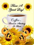 FB_IMG_1694452921437.jpg