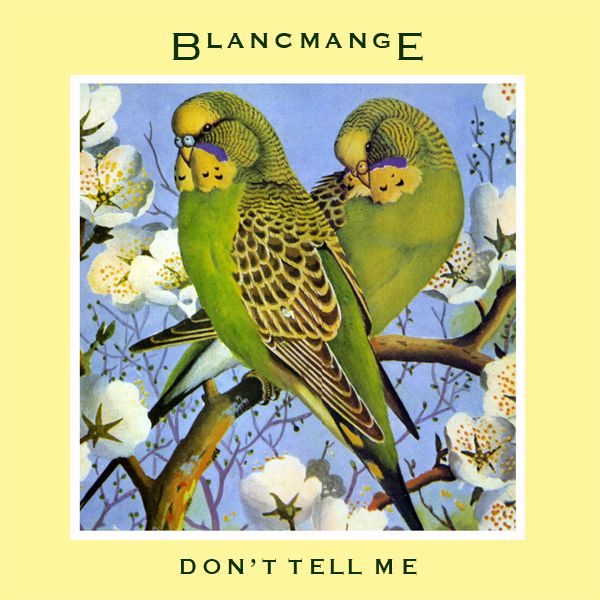 Blancmange – Don’t Tell Me.jpg