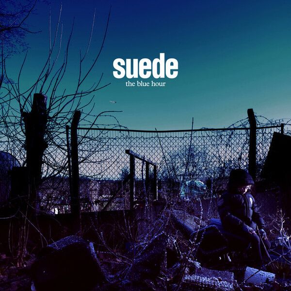 suede-dont-be-afraid-if-nobody-loves-you.jpg