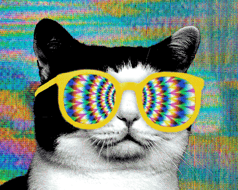 stylin kittah.gif