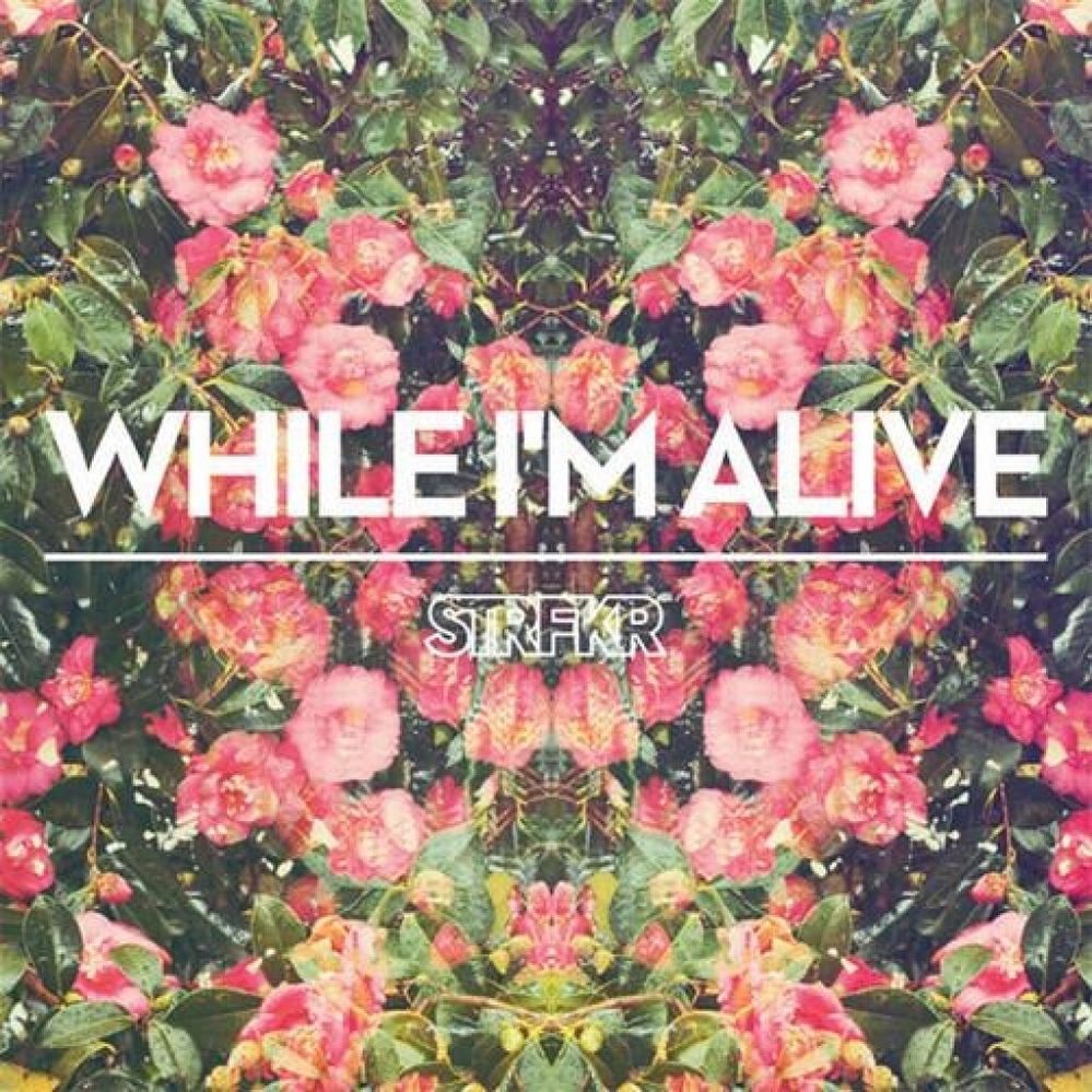 STRFKR - While I'm Alive.jpg