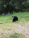 IMG_2264.jpeg