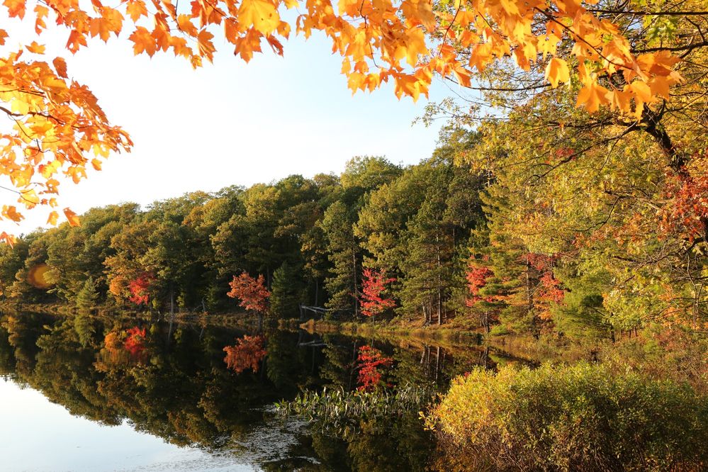 Mcgrath_Lake_Oneida-County_093019-5750.jpg
