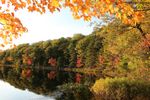Mcgrath_Lake_Oneida-County_093019-5750.jpg