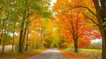 cJIsn-1632152085-207012-blog-fall leaves color foliage credit iStock and JamesBrey.jpg