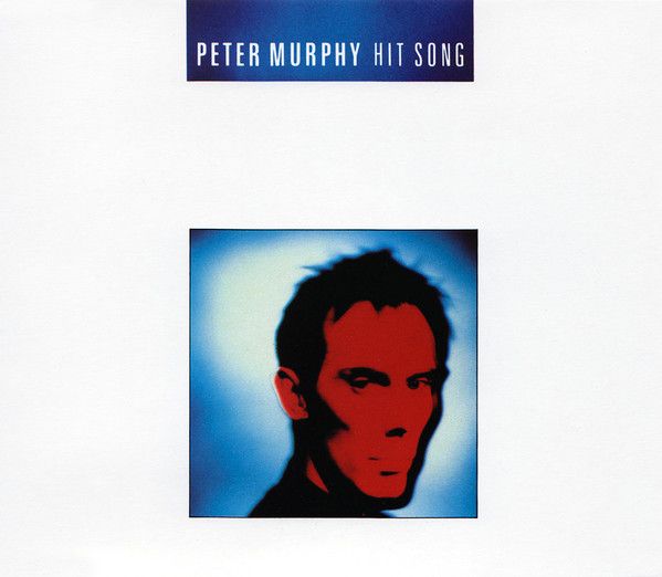 Peter Murphy - Hit Song.jpg