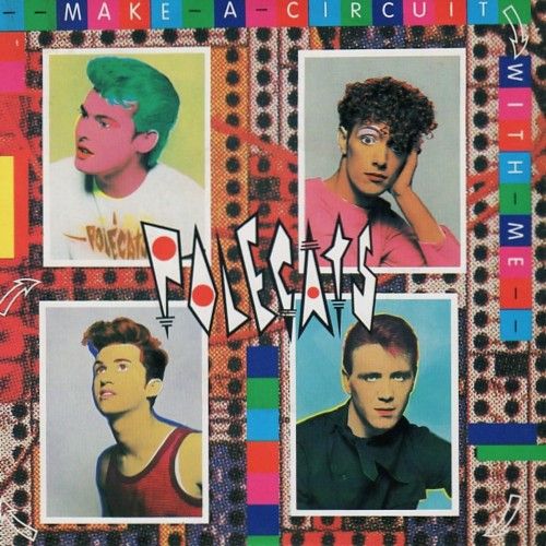 Polecats - Make a Circuit With Me.jpg