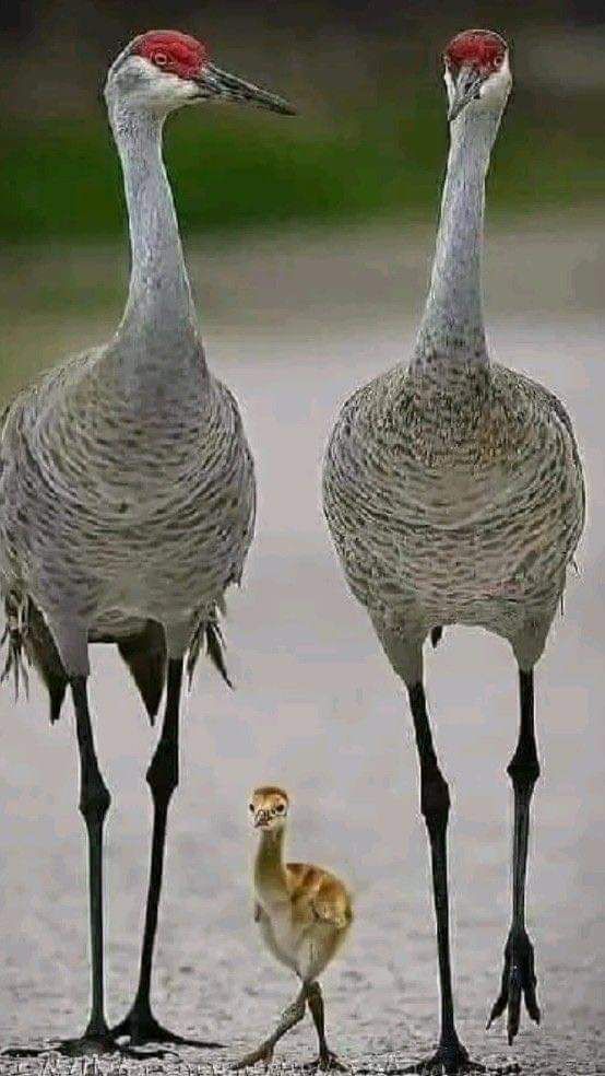 FB_IMG_1695744186098.jpg