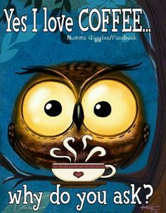 owl and coffee 2.jpg
