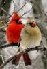 FB_IMG_1696024531847.jpg