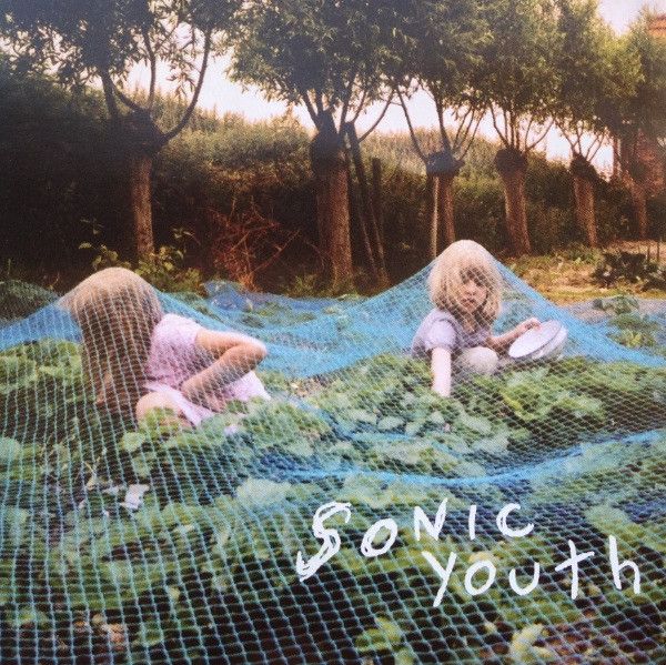 Sonic Youth - Sympathy for the Strawberry.jpg