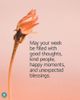 FB_IMG_1697909228745.jpg