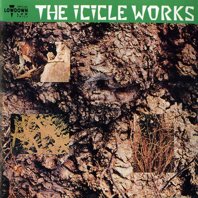 The Icicle Works - Reaping the Rich Harvest.jpeg