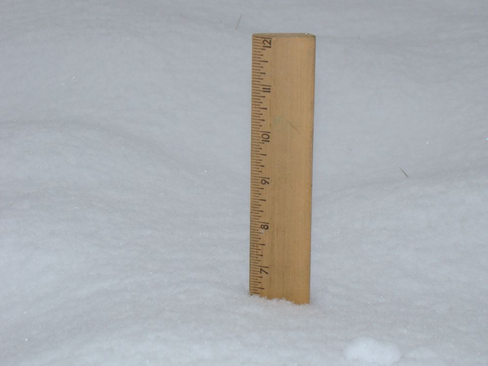 Using a ruler in my back yard to measure the amount of snow.
