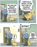 FB_IMG_1697157783163.jpg