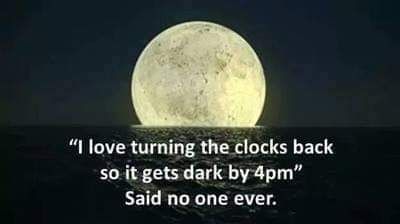 FB_IMG_1699205601664.jpg