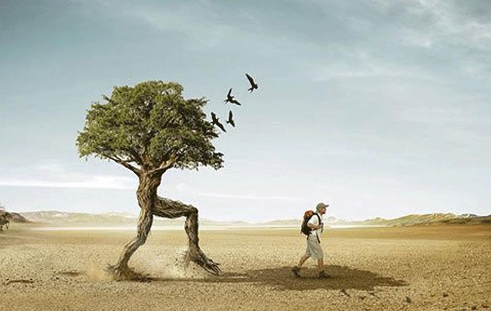 Funny-Tree-Image-9-837662434 fllwing.jpg